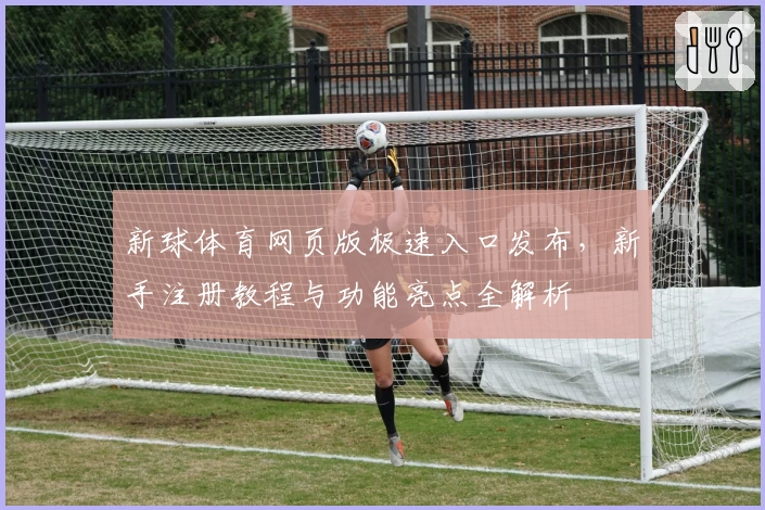 新球体育网页版极速入口发布，新手注册教程与功能亮点全解析