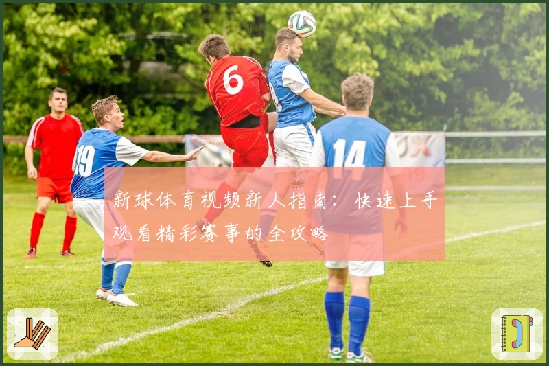 新球体育视频新人指南：快速上手观看精彩赛事的全攻略