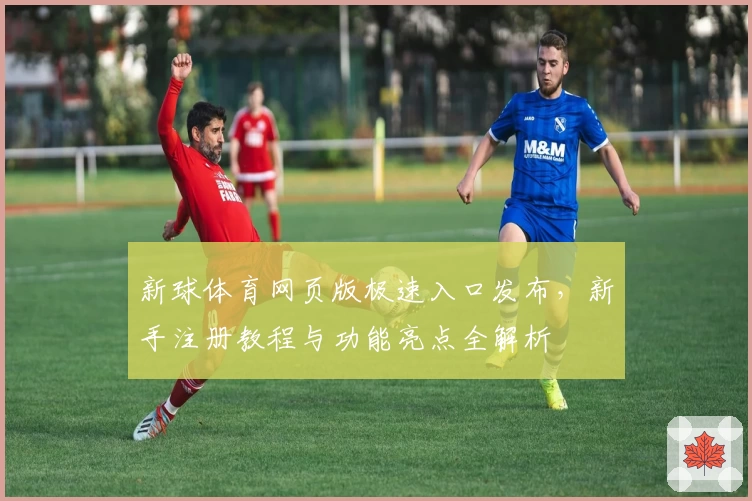 新球体育网页版极速入口发布，新手注册教程与功能亮点全解析