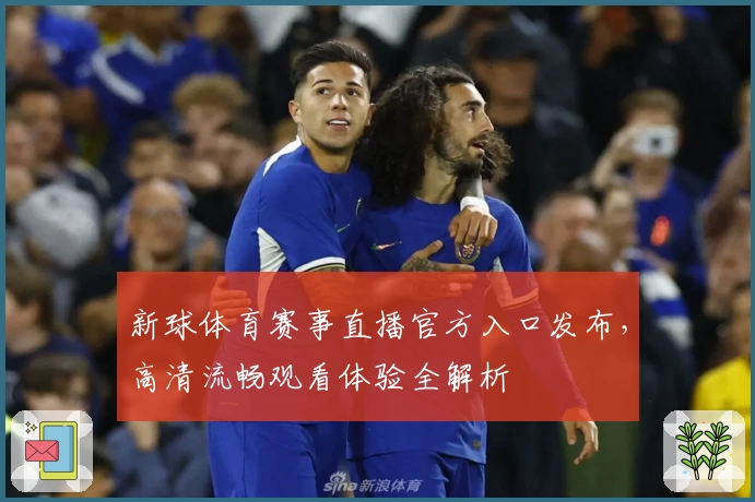 新球体育赛事直播官方入口发布，高清流畅观看体验全解析