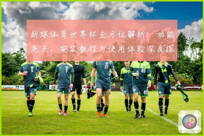 新球体育世界杯全方位解析：功能亮点、安装教程与使用体验深度探讨